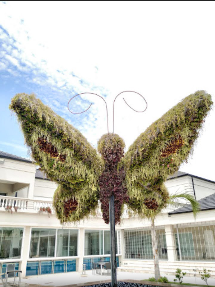 Jardines sustentables: por qué elegir flora nativa