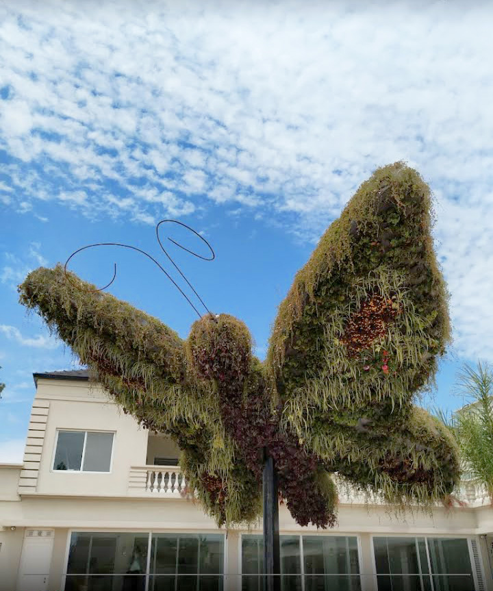 Tendencias en paisajismo para este año