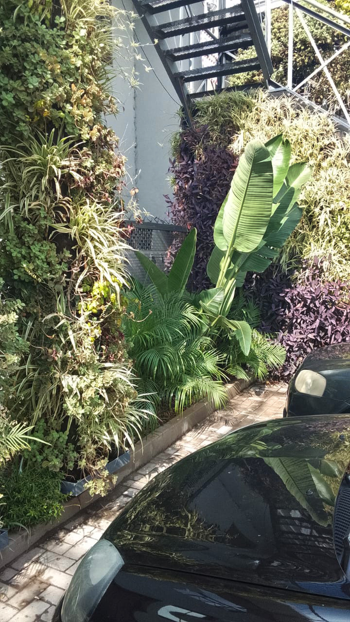 Caso de éxito: la transformación de un patio urbano
