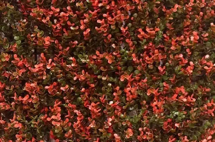 Jardín vertical artificial 5