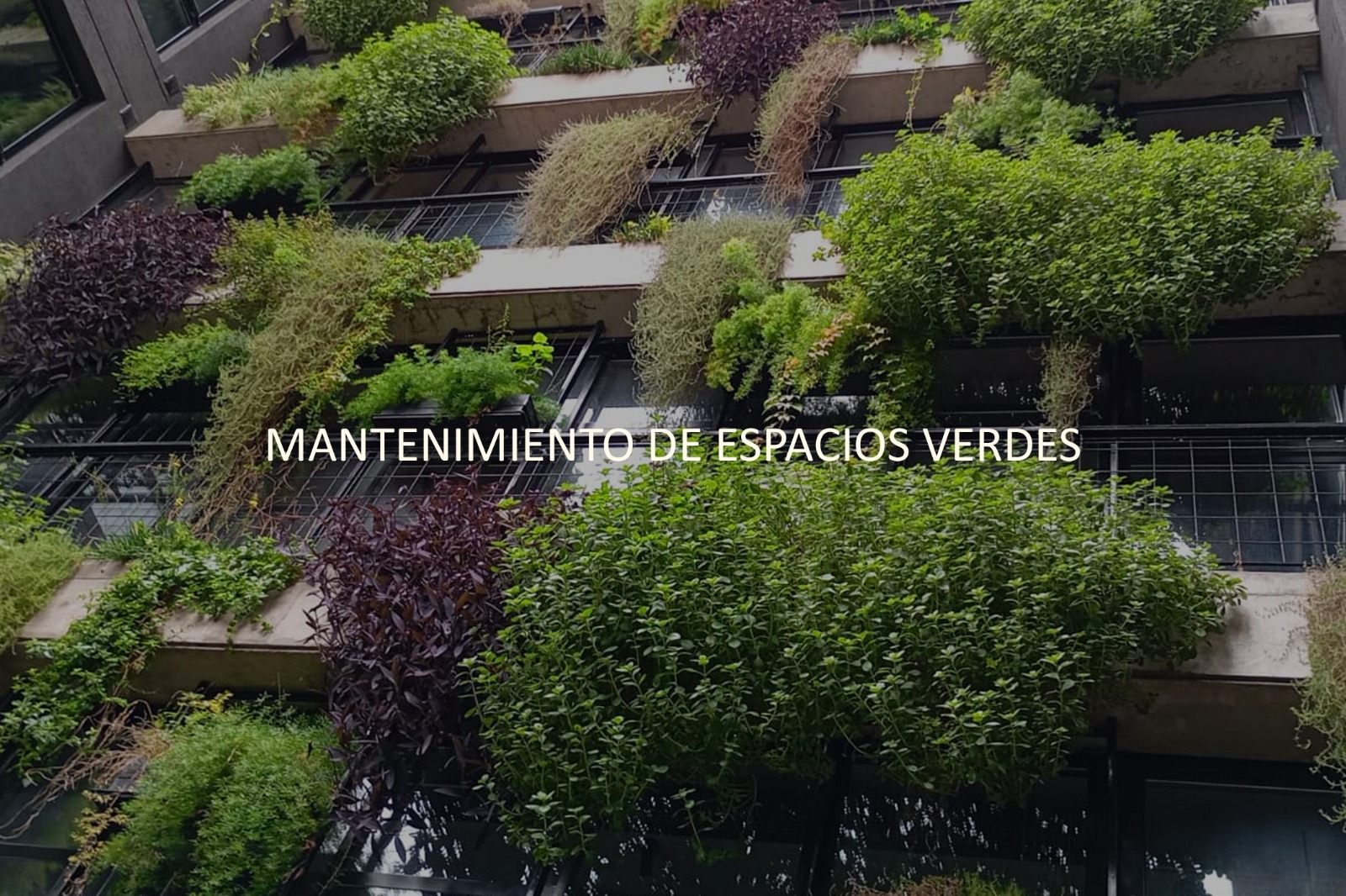 Mantenimiento de Espacios Verdes