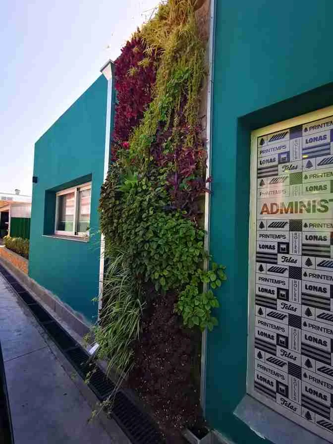 Jardín vertical natural proyecto 3