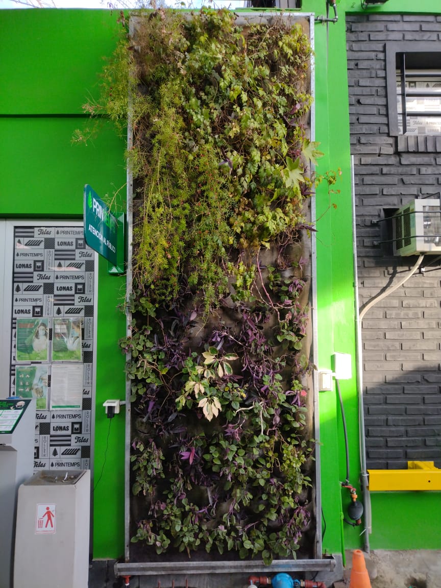 Muro verde en un área de descanso de las oficinas