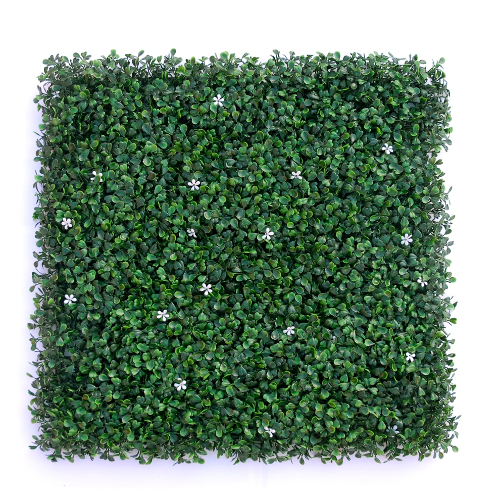 Limoncito