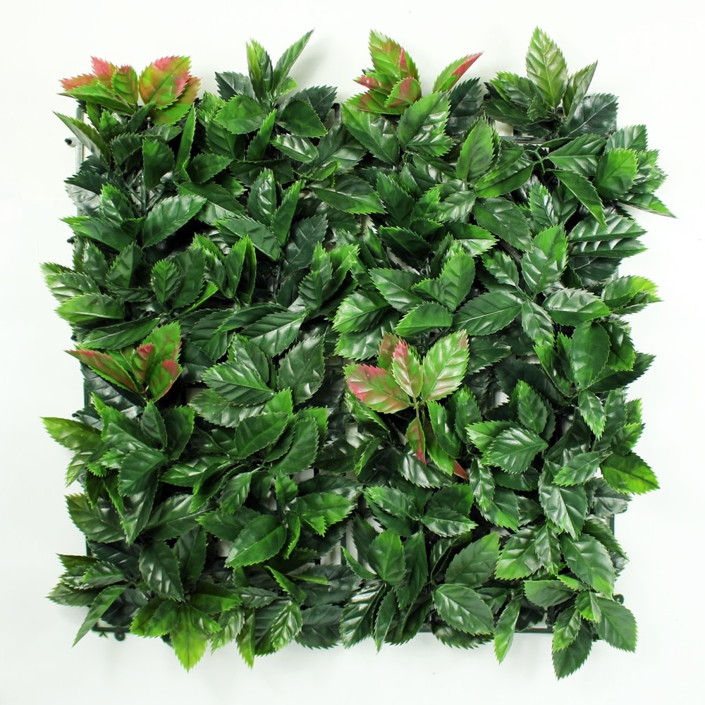 Gran Hoja