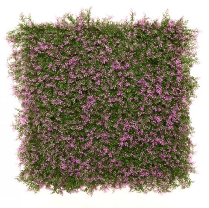 Escencia Violeta